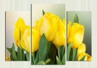 желтые тюльпаны превью